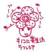 Sakurai, Shushushu